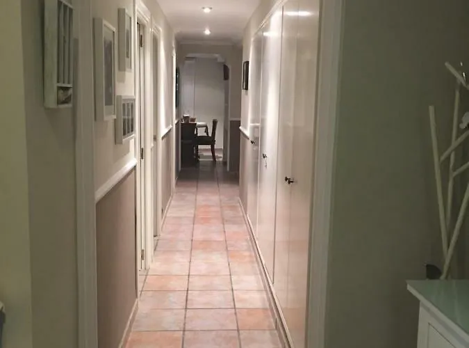 Marqueses De - Vut El Del Marques